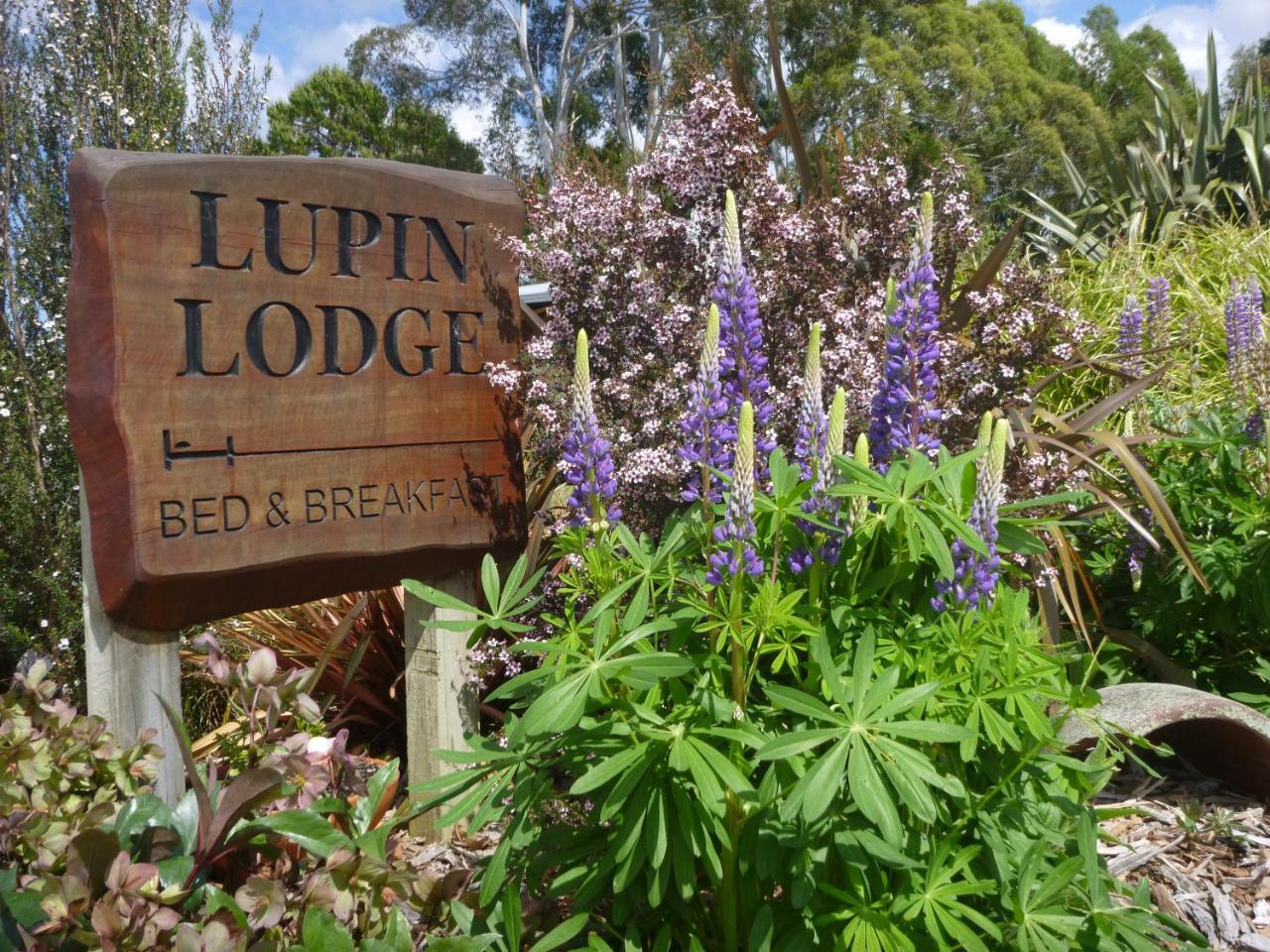 Lupin Lodge Bed & Breakfast Lago Lago Taupo Exterior foto
